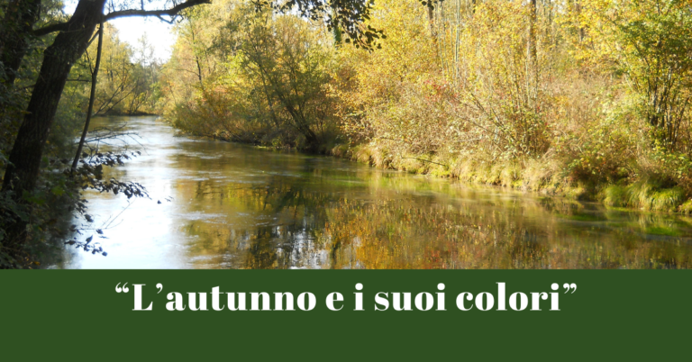 Workshop di fotografia paesaggistica e naturalistica
